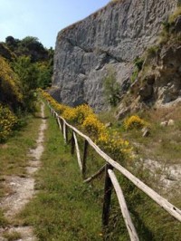 percorso2-270