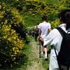 sport-casafiore-01